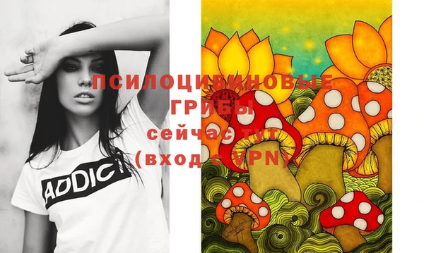 МДПВ Верхнеуральск