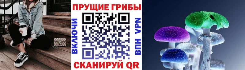 Псилоцибиновые грибы Psilocybine cubensis Карталы